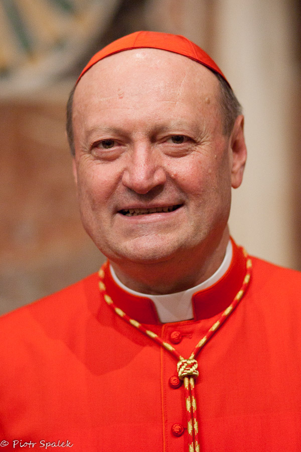 cardenal_gianfrancoavasi_presidente_del_consejo_pontificio_de_la_cultura